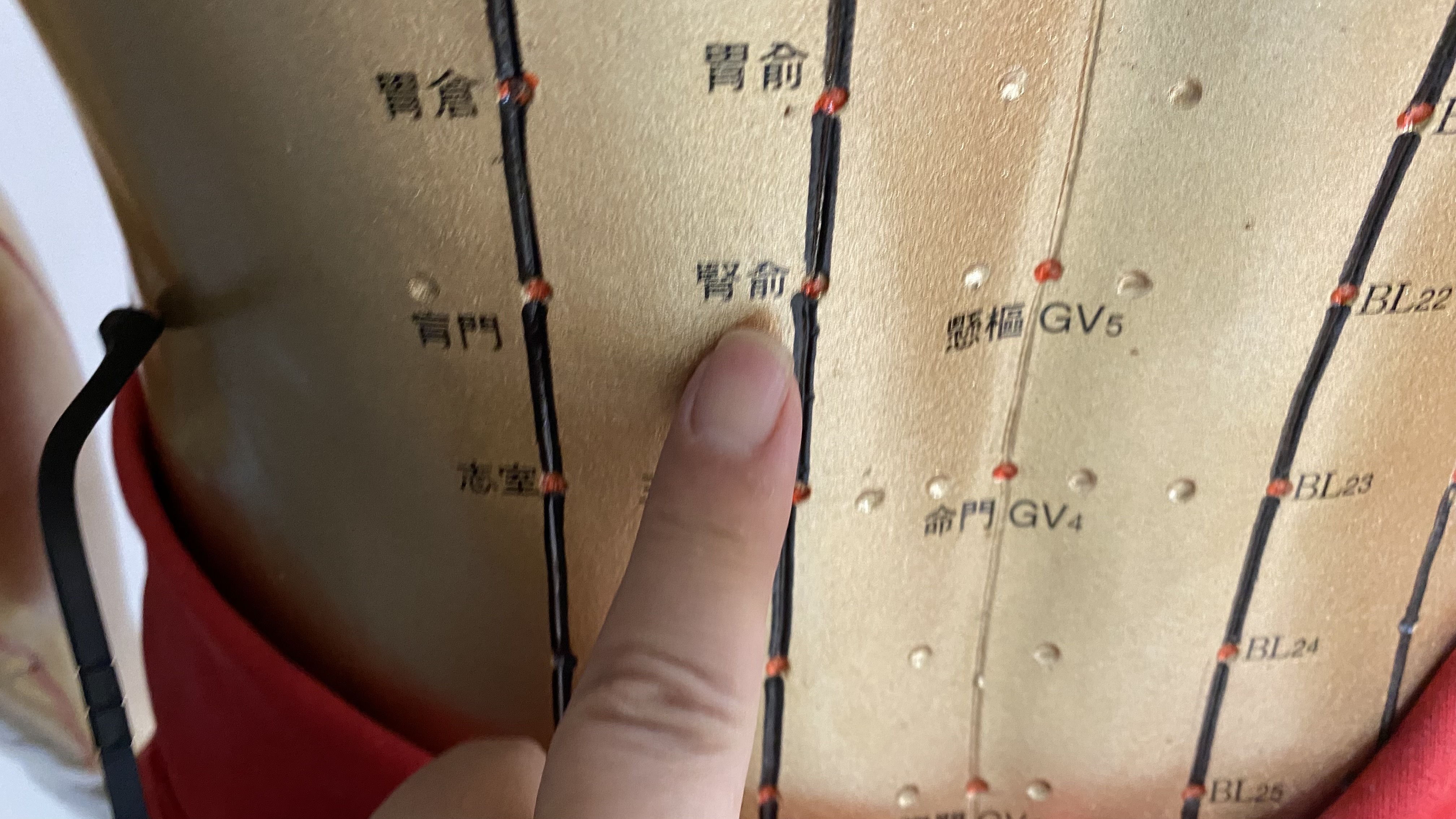 中藥調理搭配針灸及西醫監測 延緩慢性腎病惡化 - https://www.watchmedia01.com