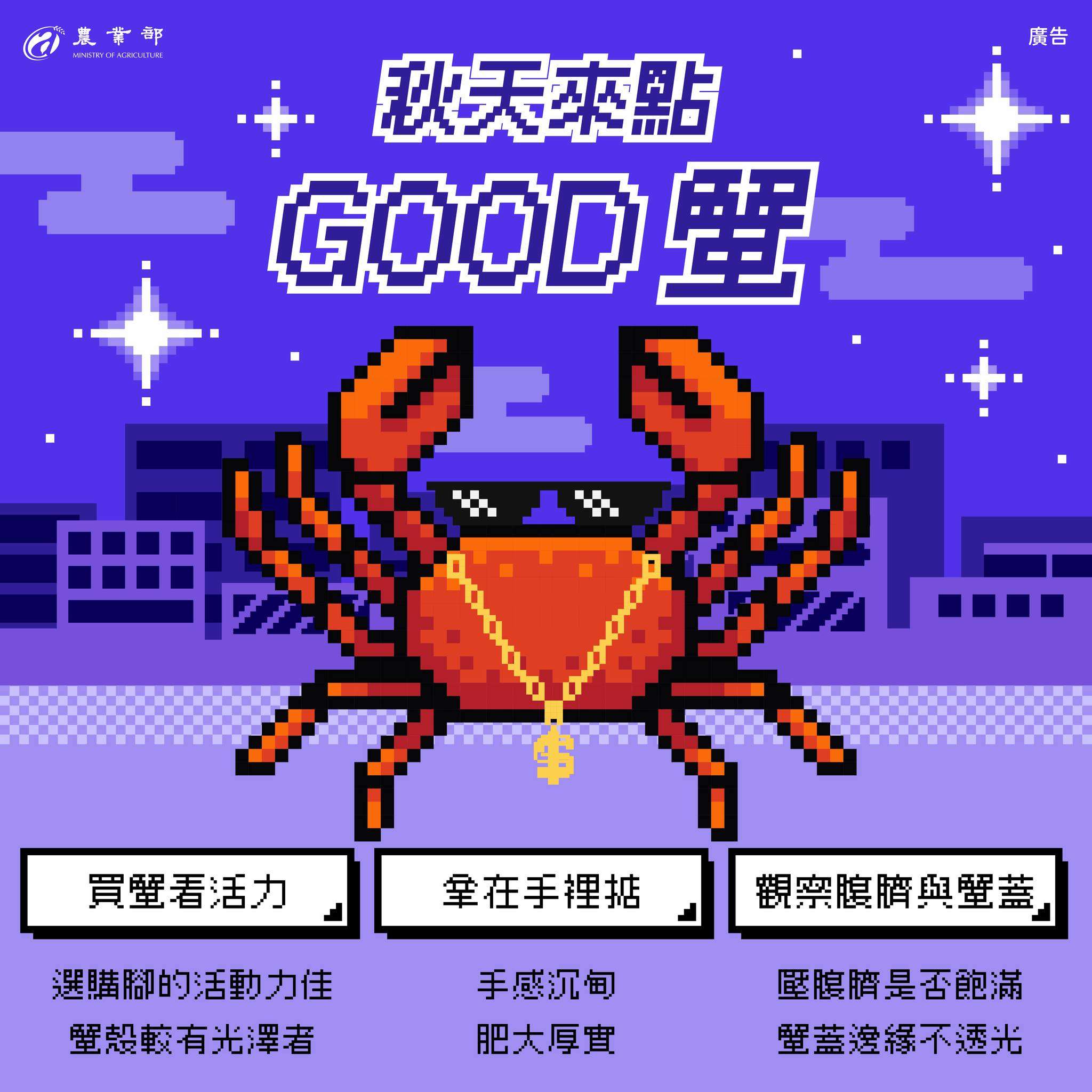 584477974 1262370582598352 9024273509918287757 n