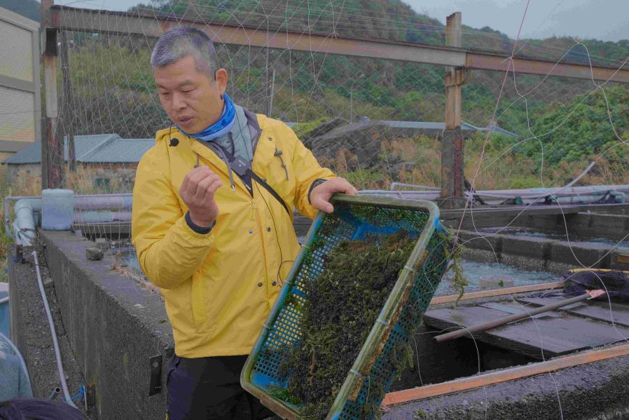 《圖說》「鮮物本舖」活化既有養殖池,使民眾近距離了解海洋資源利用與永續漁業。〈農業局提供〉
